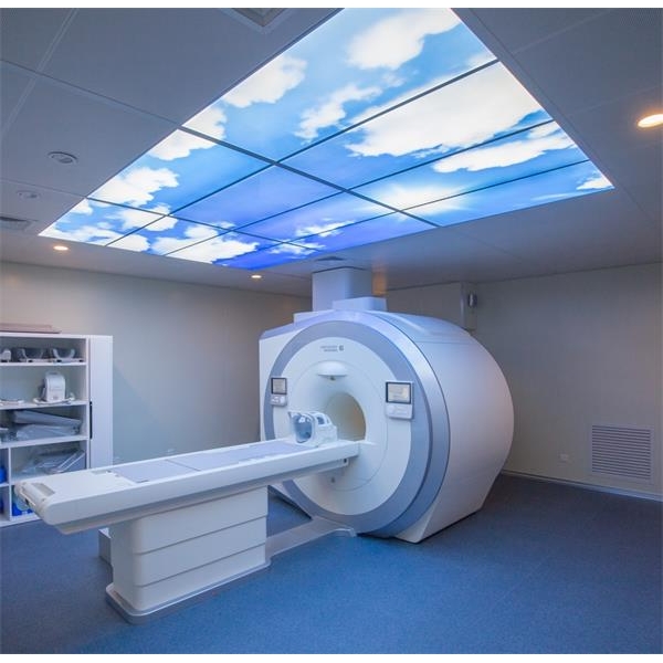 MRI Cage Project MRI Cage Project